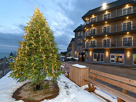 Hôtel Petit Manoir du Casino - Hiver